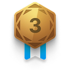 Bronze Medal